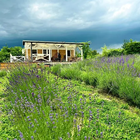 Eco Retreat For 8 People Semesterbostad *