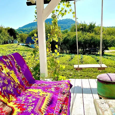 Eco Retreat For 8 People Semesterbostad
