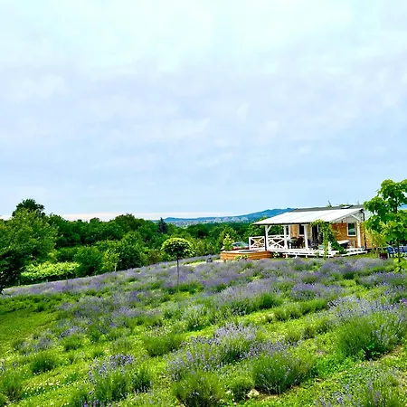 Semesterbostad Eco Retreat For 8 People