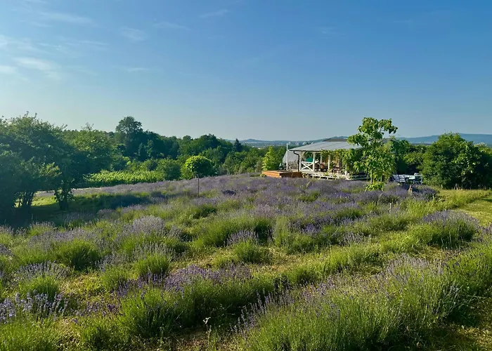 Eco Retreat For 8 People