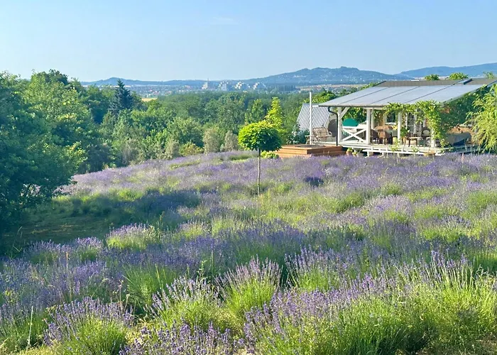 Eco Retreat For 8 People Dom wakacyjny *