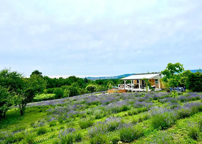 בית נופש Eco Retreat For 8 People